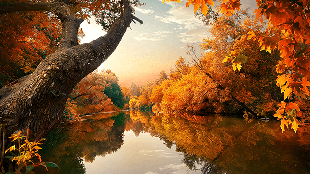 Autumn